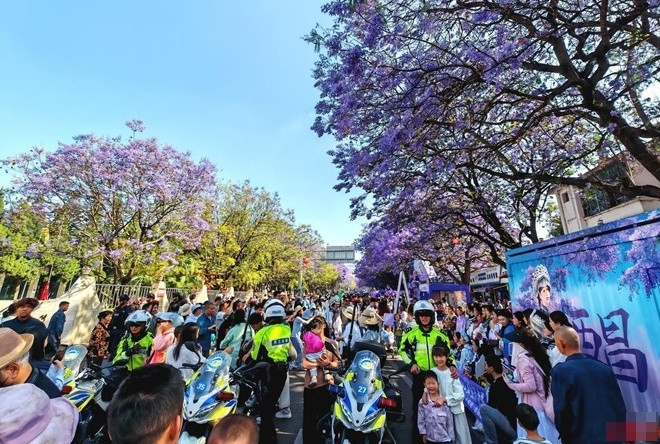 hoa phuong tim ava.jpg