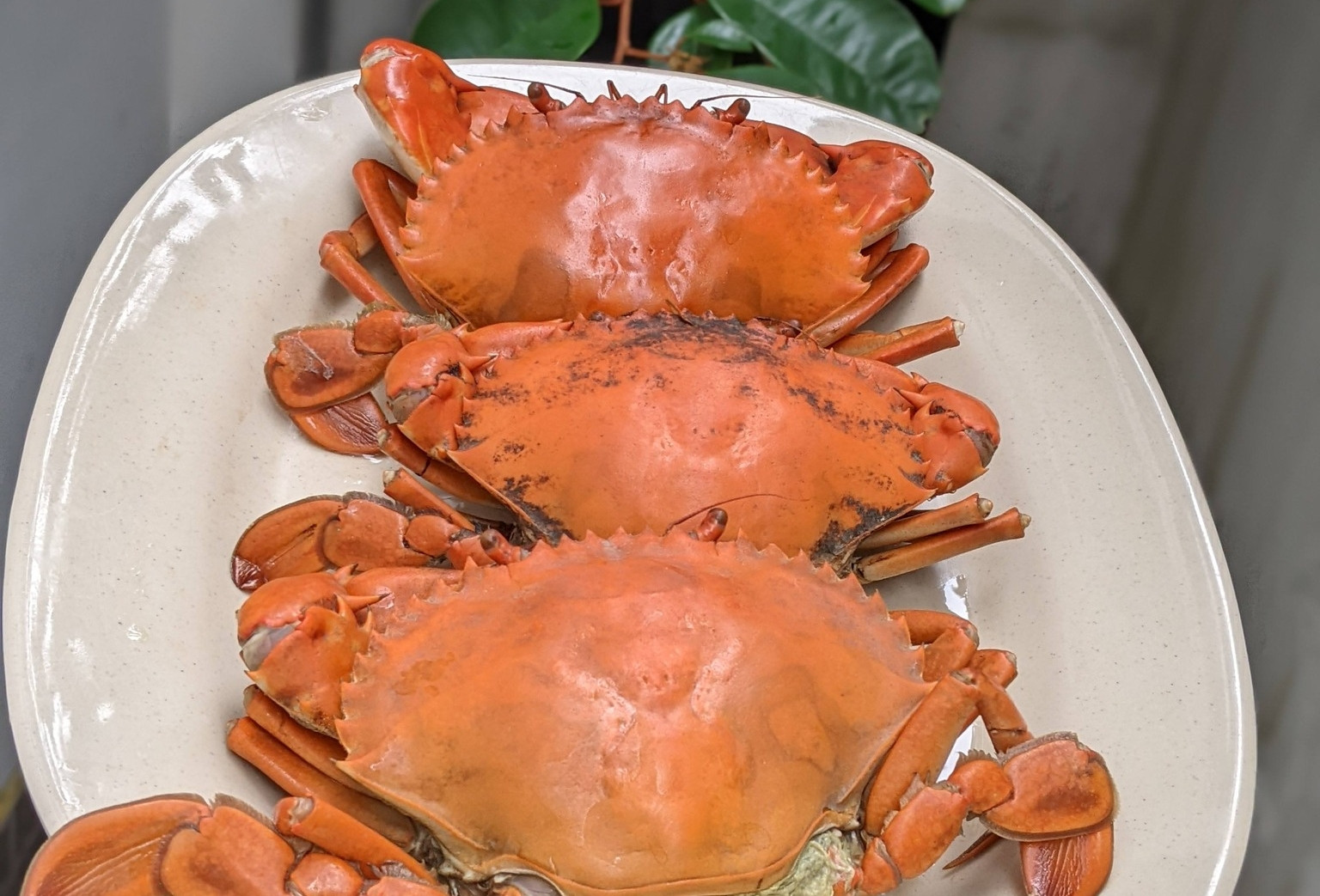 Luộc cua bao nhiêu phút thì chín và không bị rụng càng?