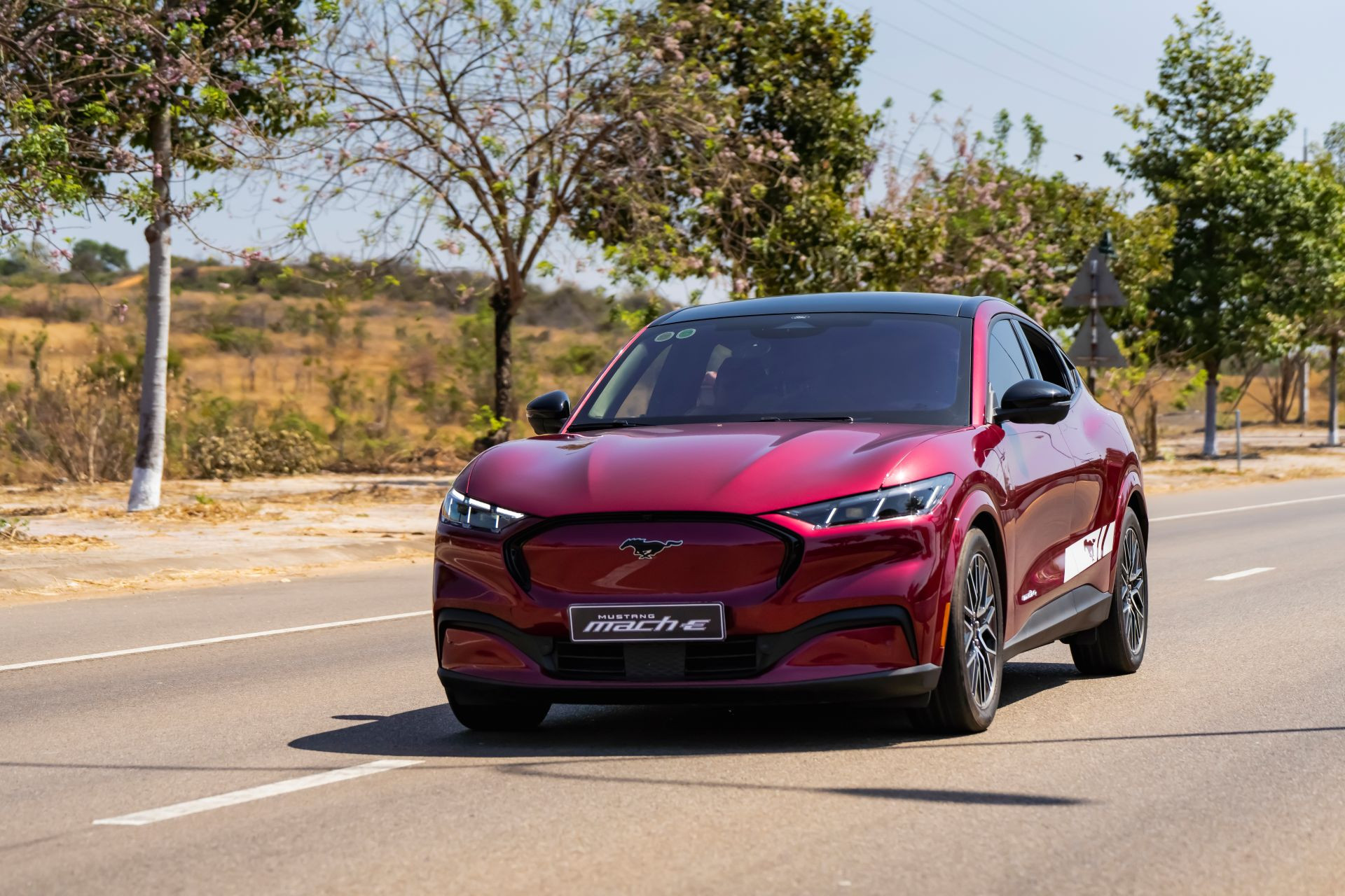 Mustang Mach E.JPG