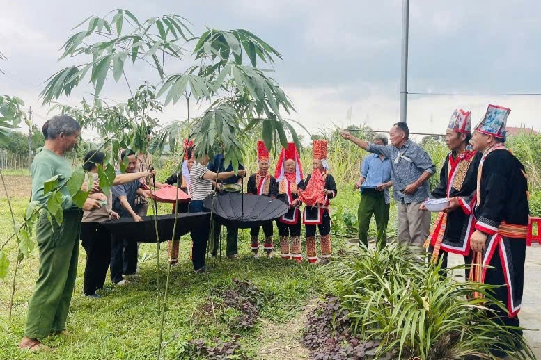 Người Dao giữ rừng bằng nghi lễ cổ