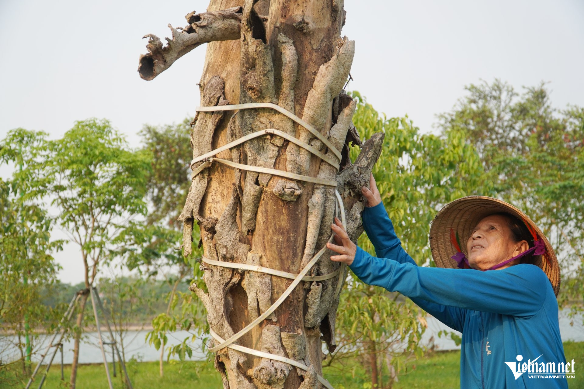 W-a công viên14.JPG.jpg