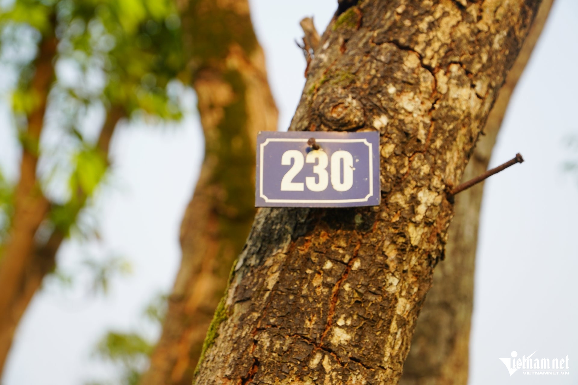 W-a công viên19.JPG.jpg