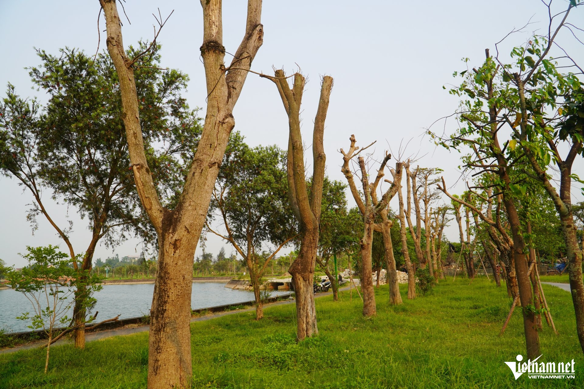 W-a công viên25.JPG.jpg