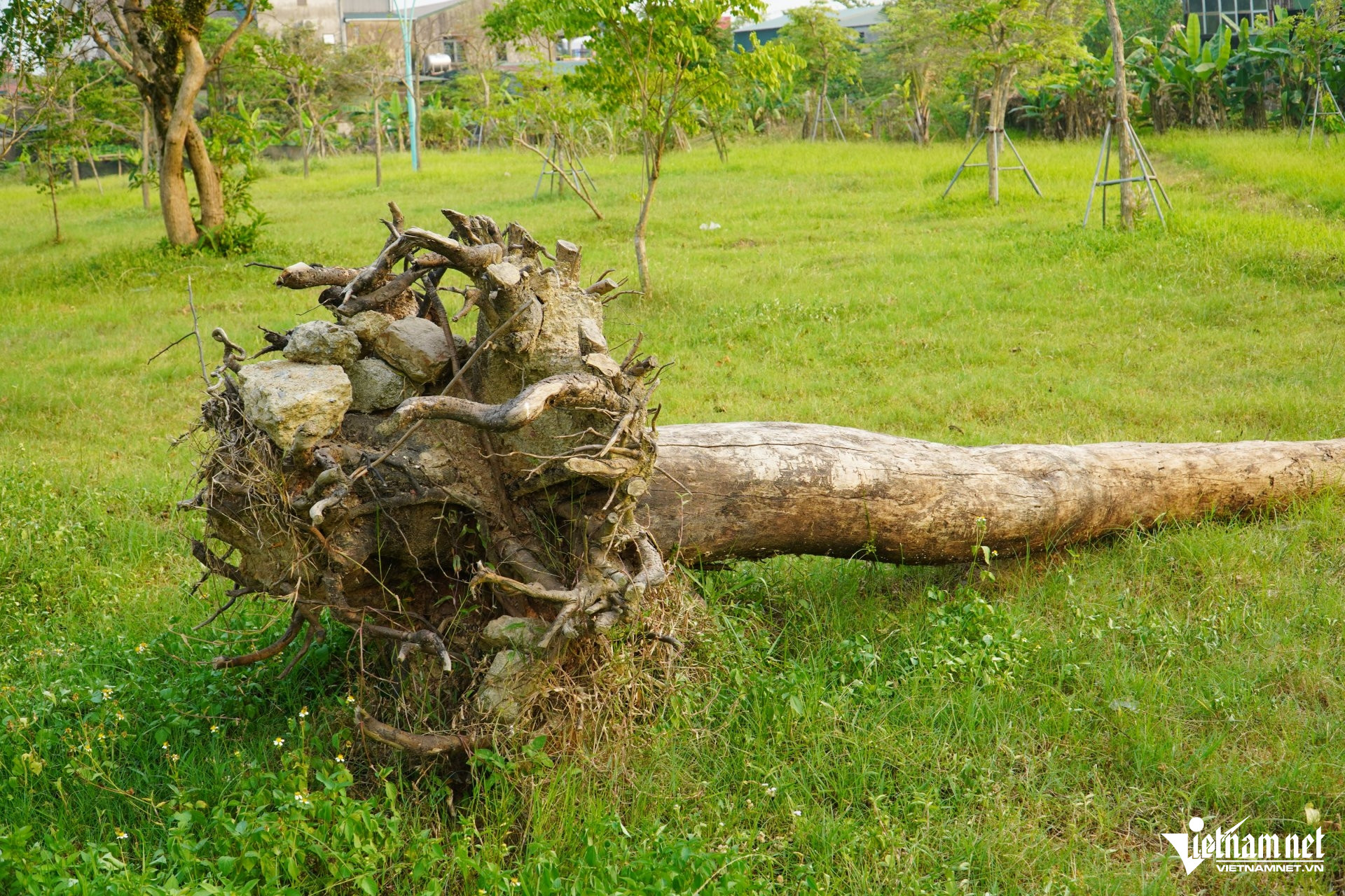 W-a công viên28.JPG.jpg