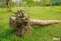 W-a công viên28.JPG.jpg