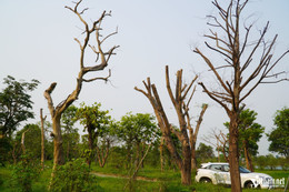 W-a công viên42.JPG.jpg