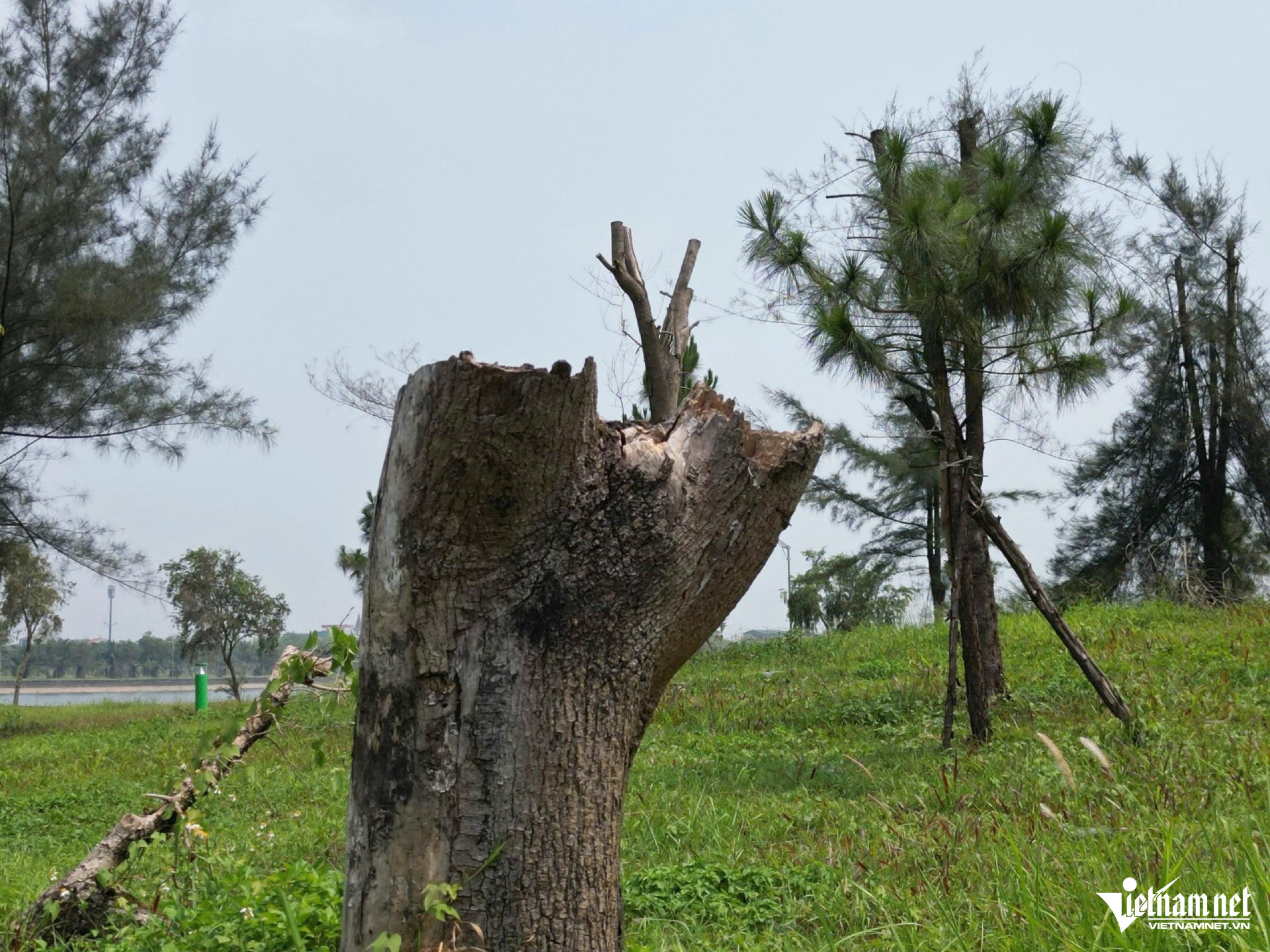 W-a hồ bồng sơn3.jpg