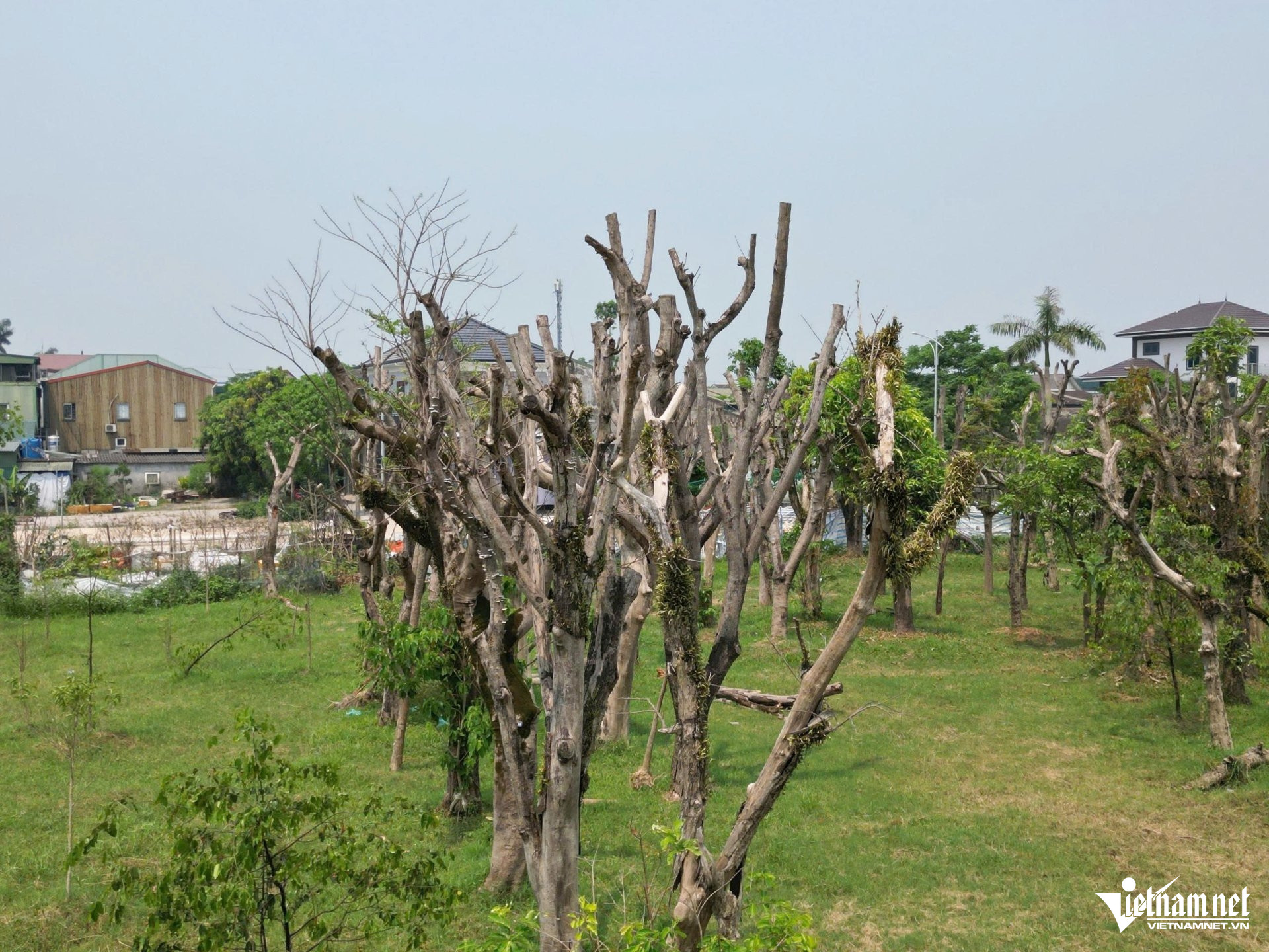 W-a hồ bồng sơn4.jpg