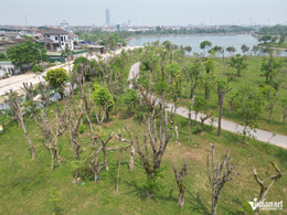 W-a hồ bồng sơn5.jpg