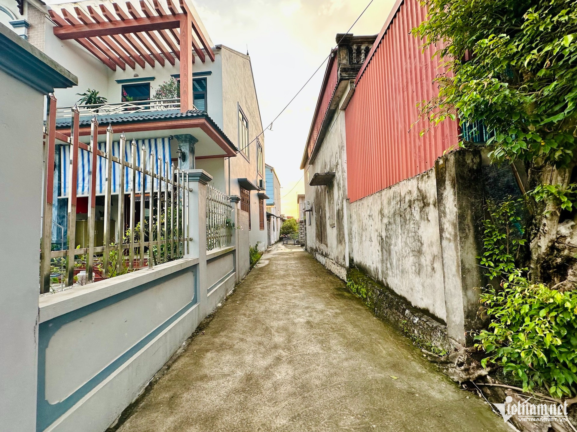 W-tu van dat dai vietnamnet.jpg