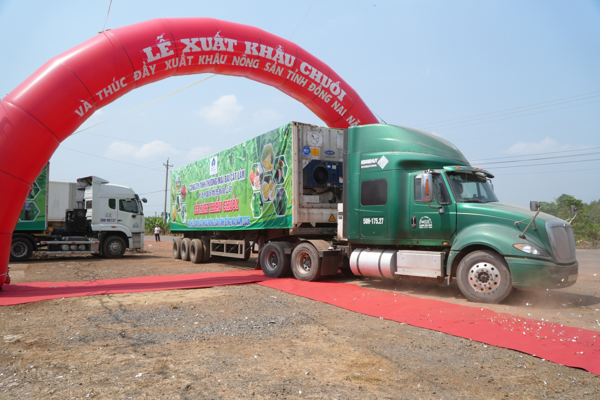 220 tấn chuối xuất ngoại một ngày, Đồng Nai dồn lực vào thị trường tỷ dân