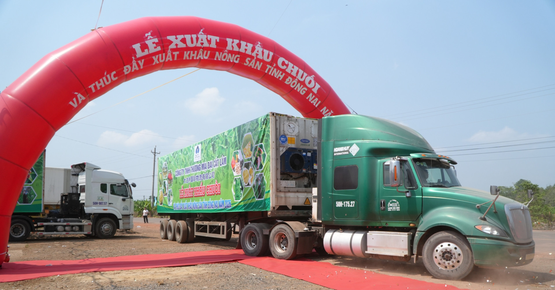 220 tấn chuối xuất ngoại một ngày, Đồng Nai dồn lực vào thị trường tỷ dân