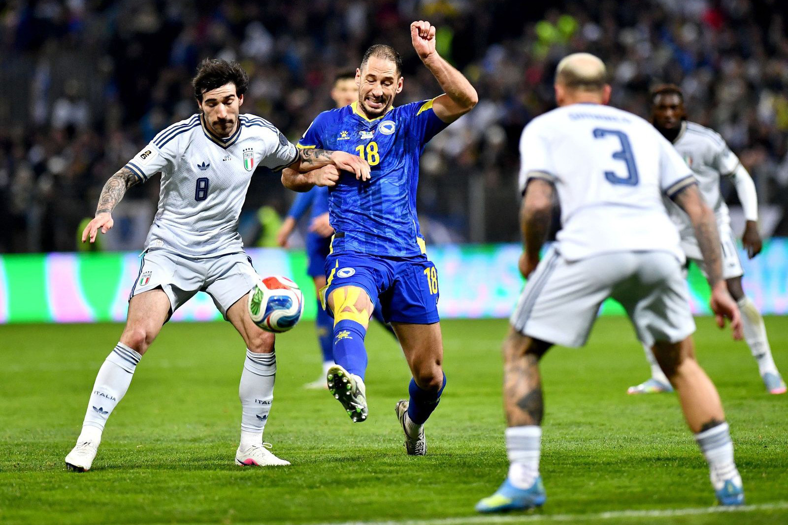 Tonali Italia Bosnia.jpg