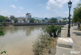 W-Phát hiện thi thể người đàn ông nổi bên mép sông Dinh giữa trưa ở TPHCM..jpg