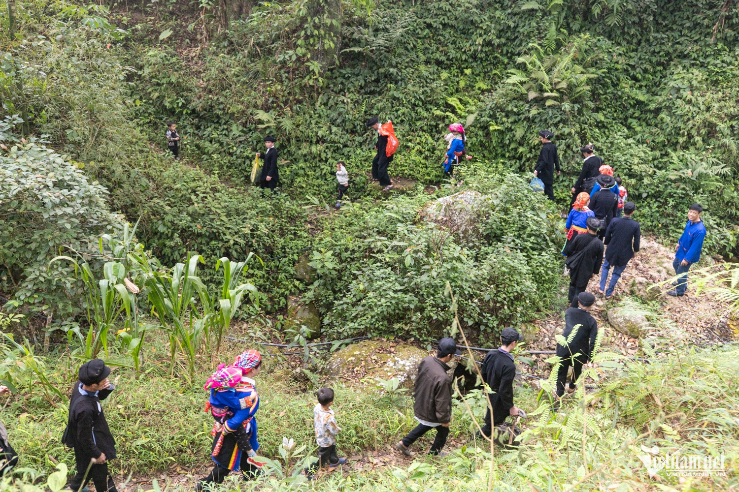 W-Vu Mung DTPT_26.jpg