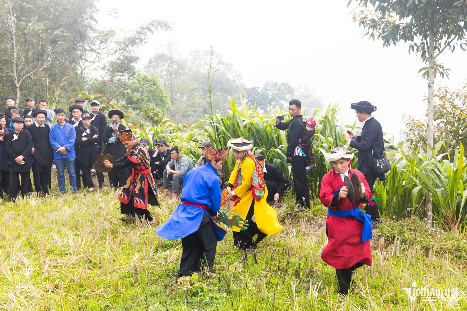 W-Vu Mung DTPT_28.jpg