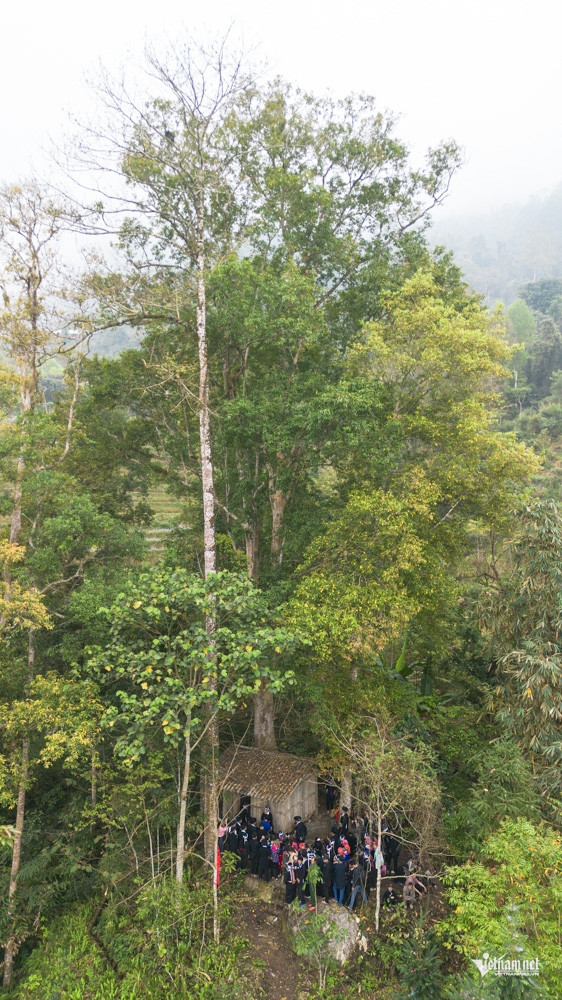 W-Vu Mung DTPT_4.jpg