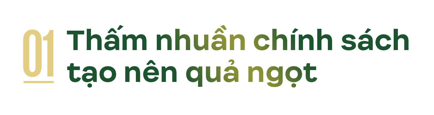 Anh tit1.jpg
