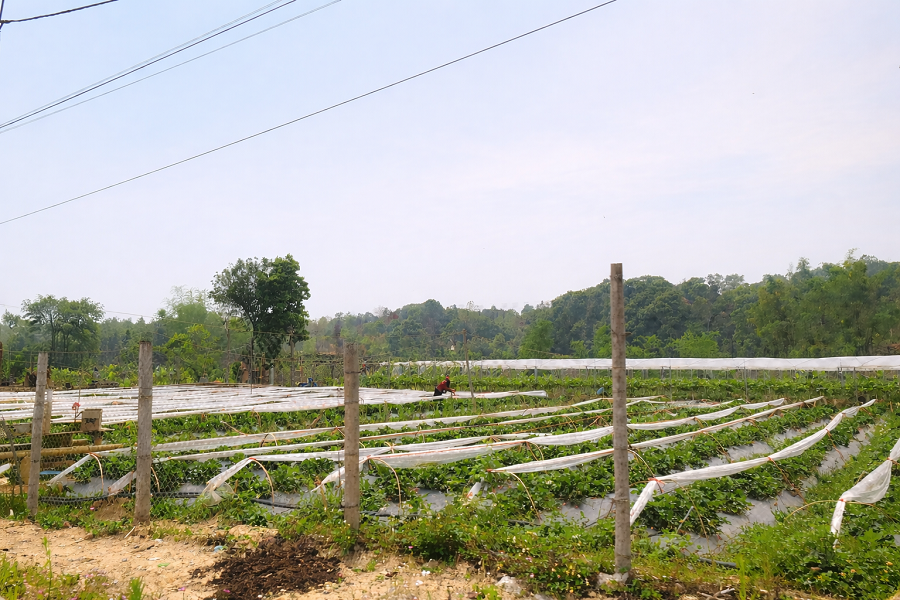 Bản Hùn giảm nghèo thông tin, phát triển du lịch cộng đồng bền vững