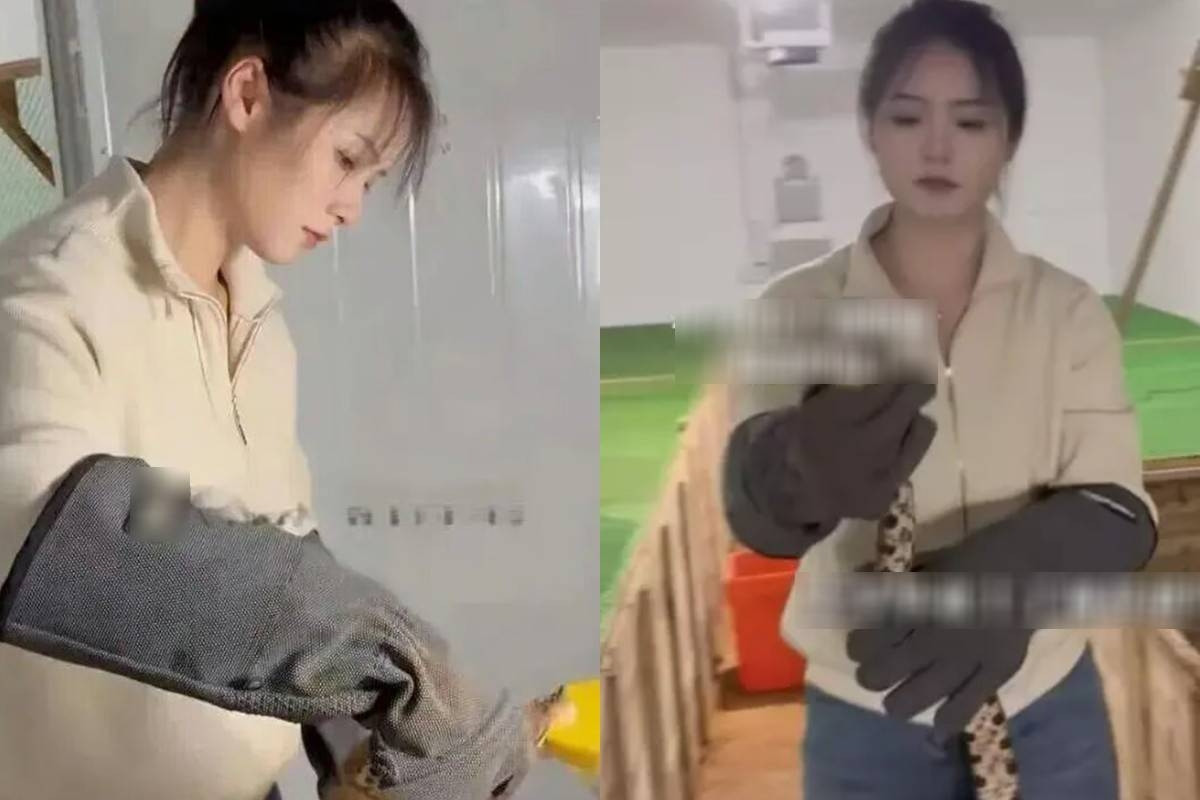 Con gái tốt nghiệp đại học, về làng giúp bố nuôi 60.000 con rắn, kiếm tiền tỷ