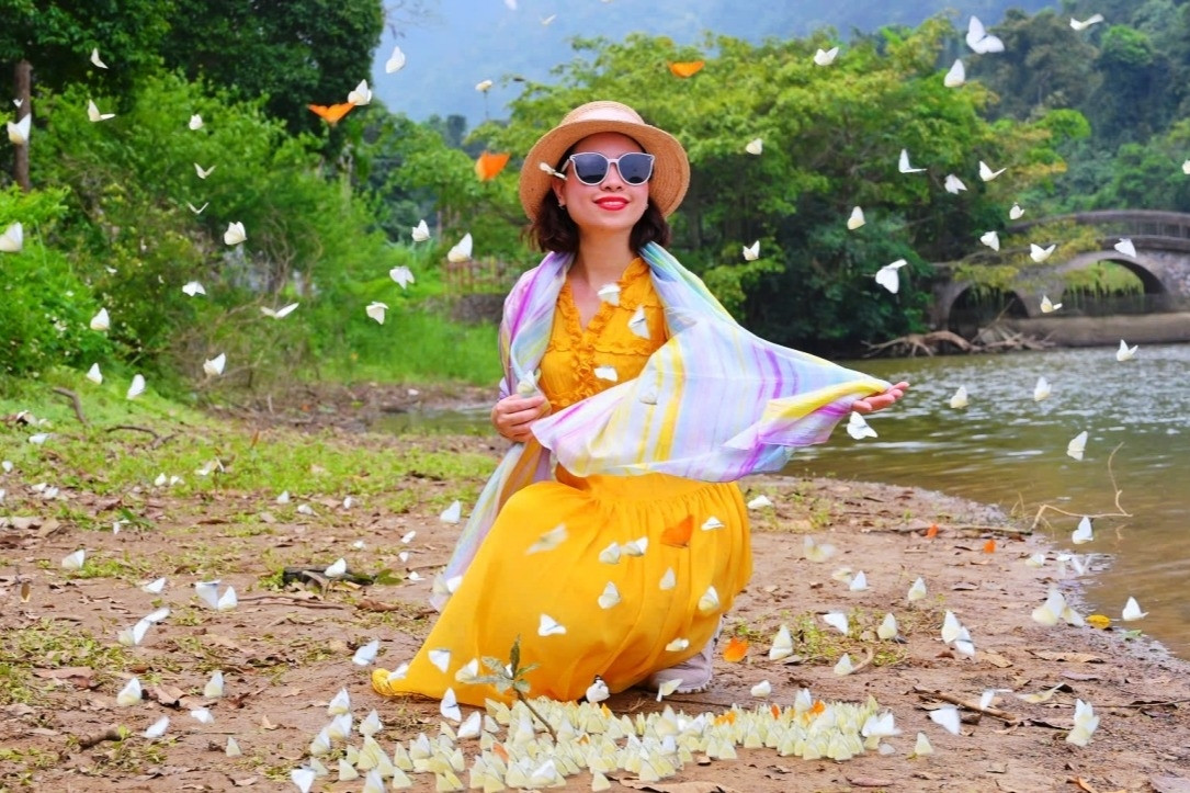 Du khách đổ xô vào rừng ‘săn bướm’, check-in cùng cây ráy 'khổng lồ’ ở Ninh Bình