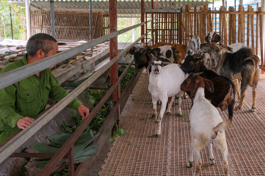 Nâng cao nhận thức và năng lực sản xuất từ giảm nghèo thông tin