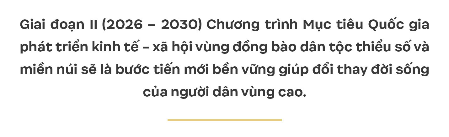 Sapo (1).jpg