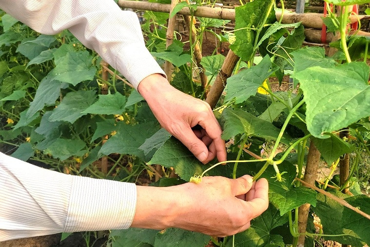 Tăng cường truyền thông trong giảm nghèo thông tin ở Sơn La