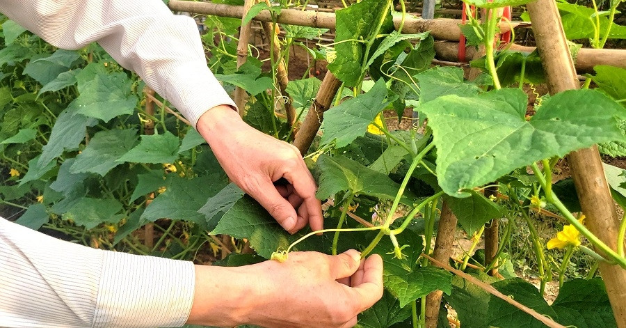 Sơn La đẩy mạnh truyền thông để thu hẹp khoảng cách thông tin trong phát triển nông nghiệp