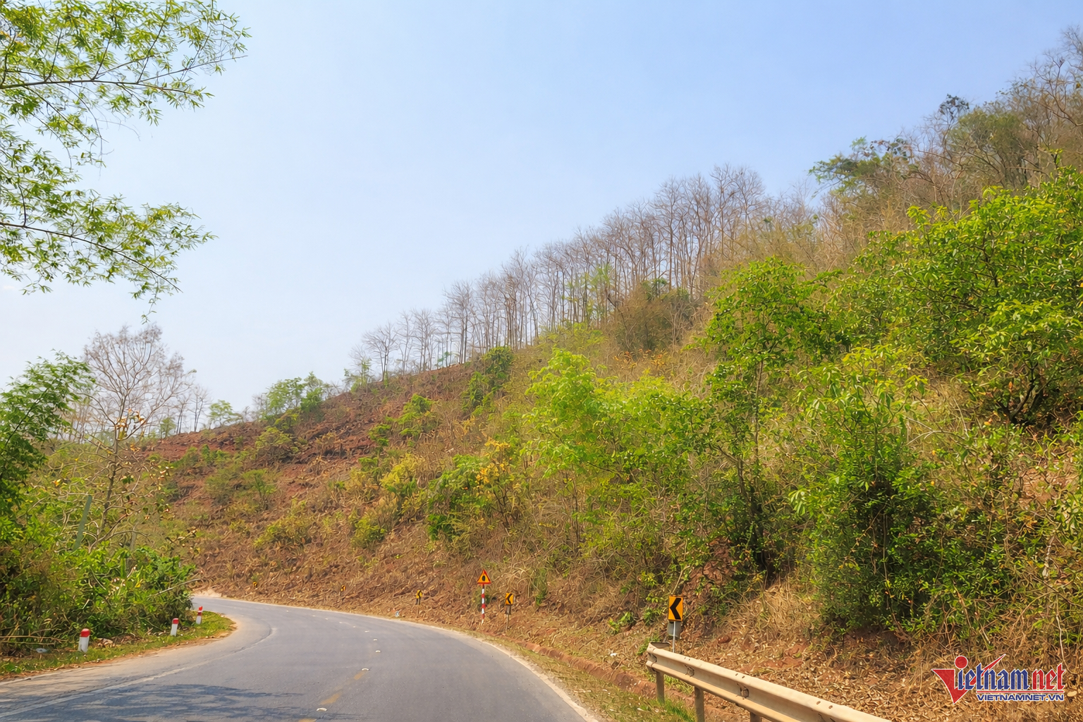 W-3da0bfd0 bcb2 4125 8c7d 9e4c185cb9a6.png