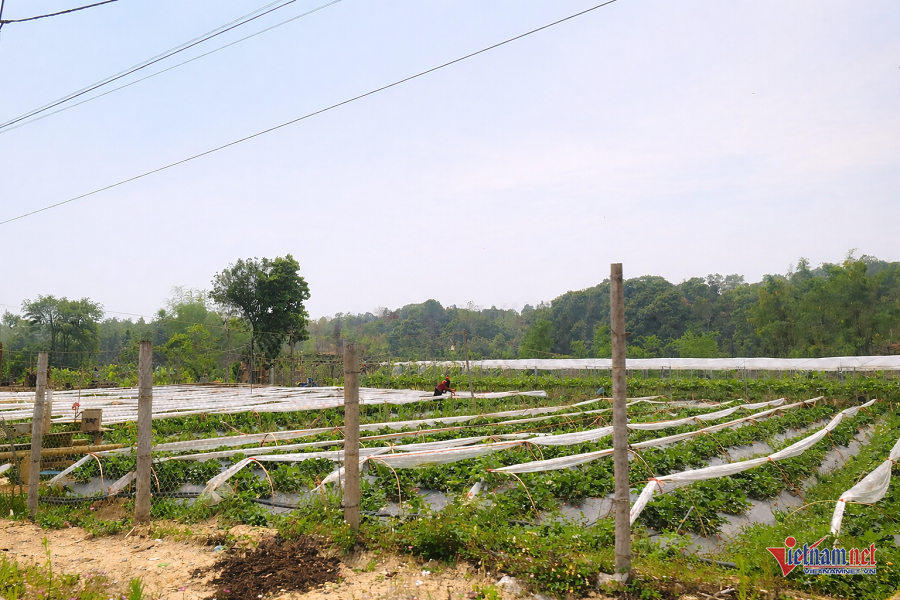 W-5ebec6b0 a571 450f b05d 4eb4ae07e9b3 (1).png