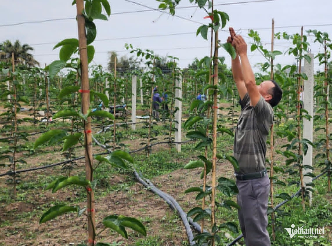 W-7f224ad3 d3b0 4a5b ae79 13f97e6b3a68.jpg