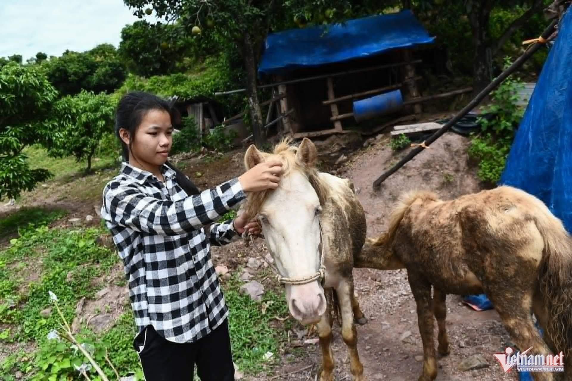 Box https://static-images.vnncdn.net/vps_images_publish/000001/000003/2026/4/20/w-927def1b-0934-4510-bdc8-bc9f6e0a7b90-1420.jpg