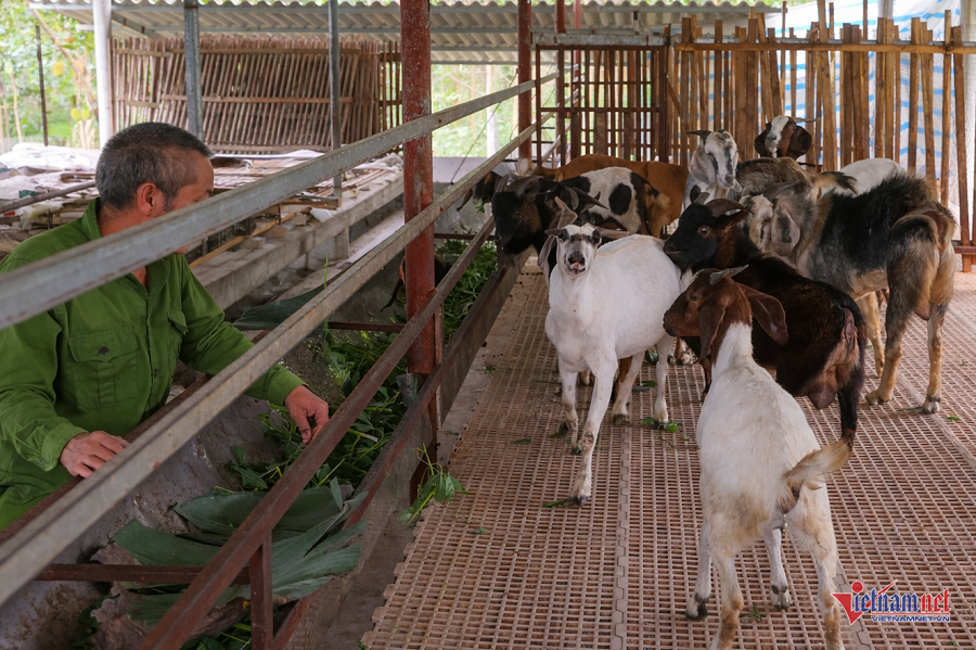 W-c3f92e5b 8eeb 4910 ac54 b8d1ade067ee.png