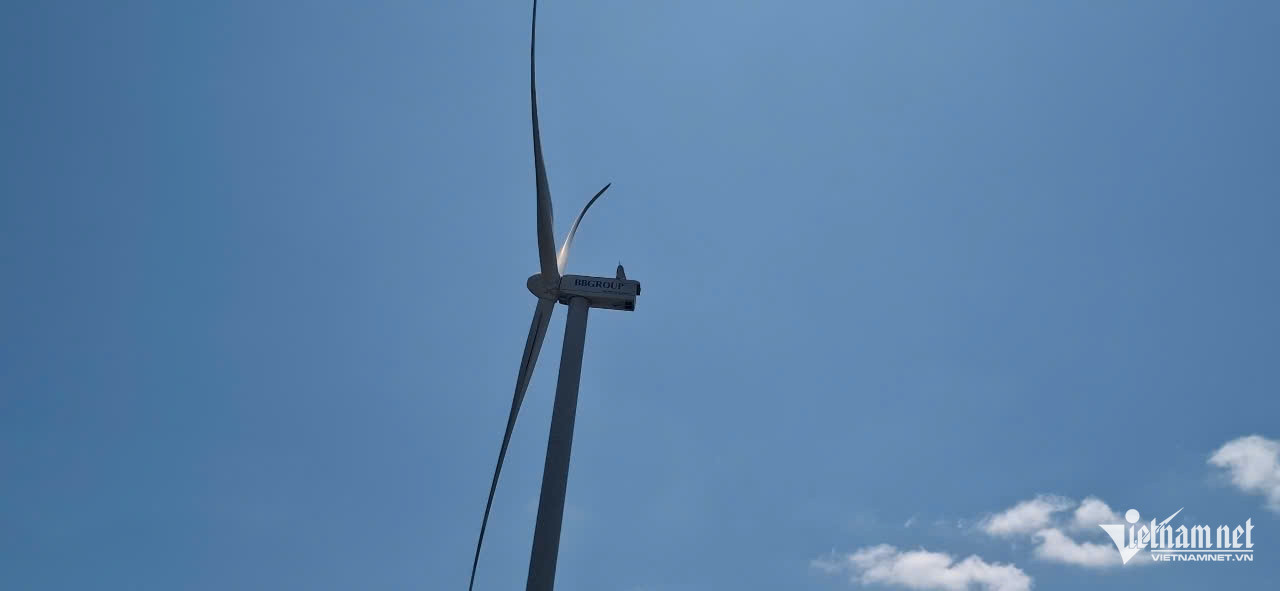 W-điện gió7.jpg