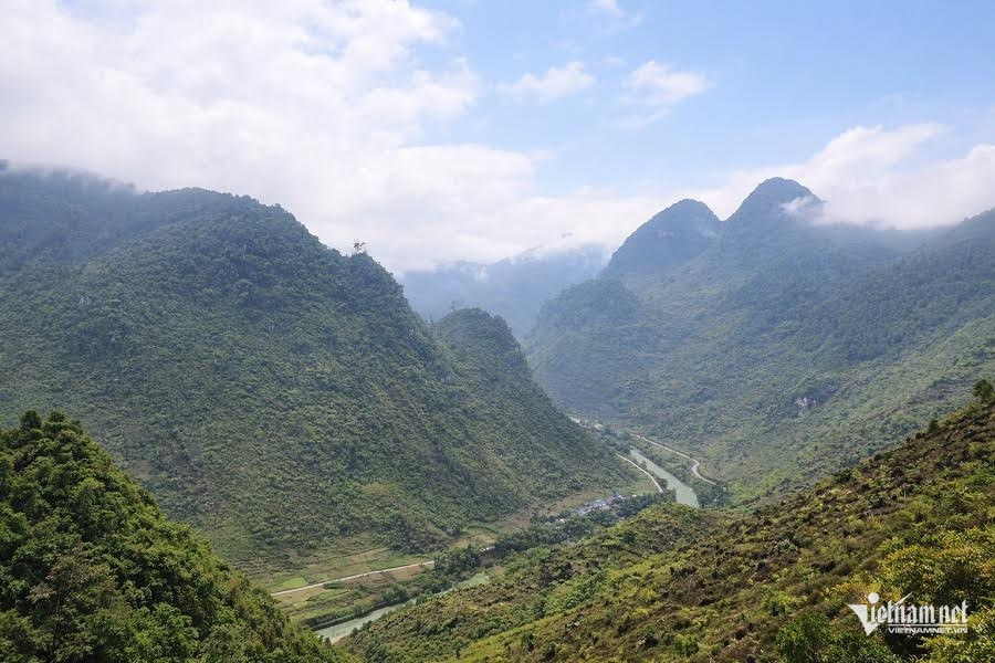 W-minhhoa.jpg
