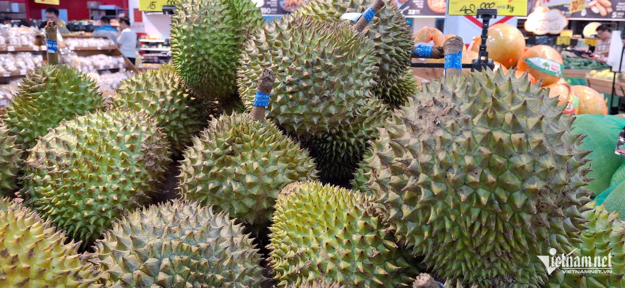 W-sầu riêng.jpg