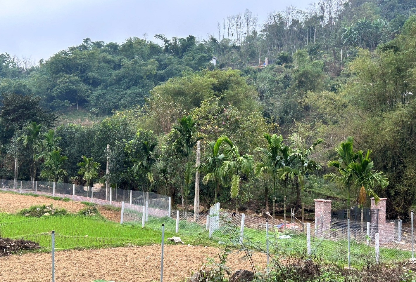 Chuyển đất vườn, ao sang đất ở: Thuế Hà Nội yêu cầu nộp hồ sơ trước 1/1/2027