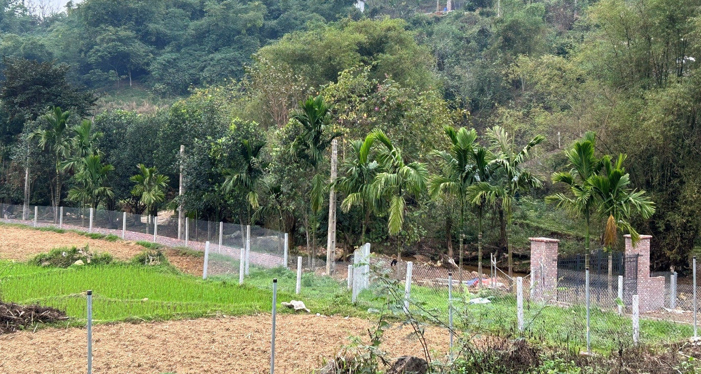 Chuyển đất vườn, ao sang đất ở: Thuế Hà Nội yêu cầu nộp hồ sơ trước 1/1/2027