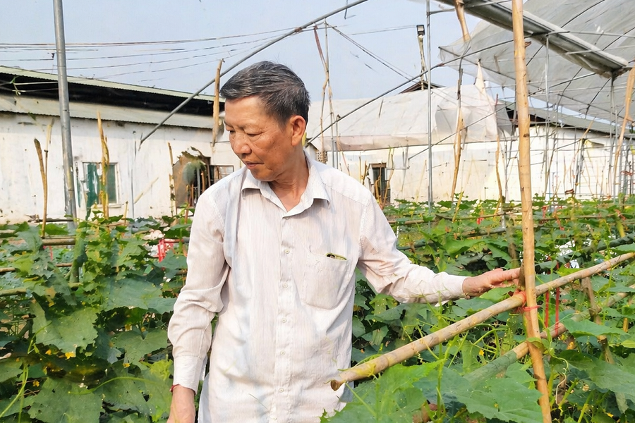 Cựu chiến binh Tiên Yên tích cực tham gia giảm nghèo thông tin