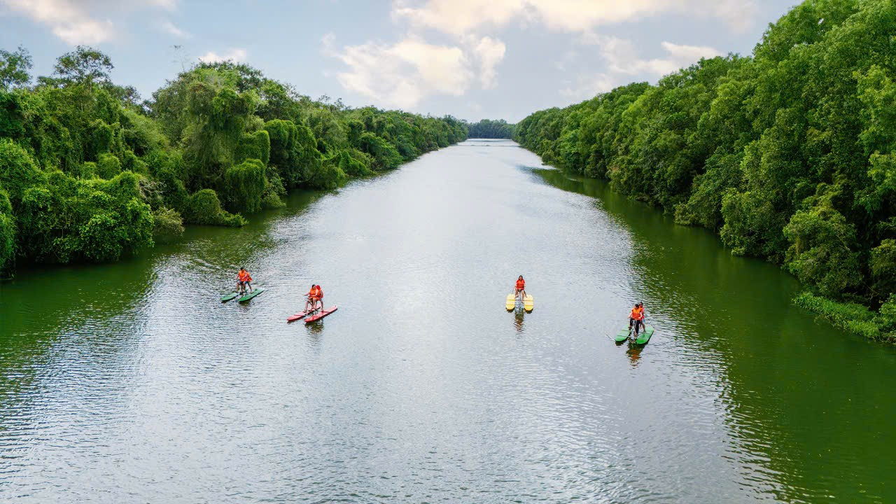 Hinh1_Xe đạp nước giữa rừng tràm đưa du khách tiến sâu vào thế giới hoang dã..jpg