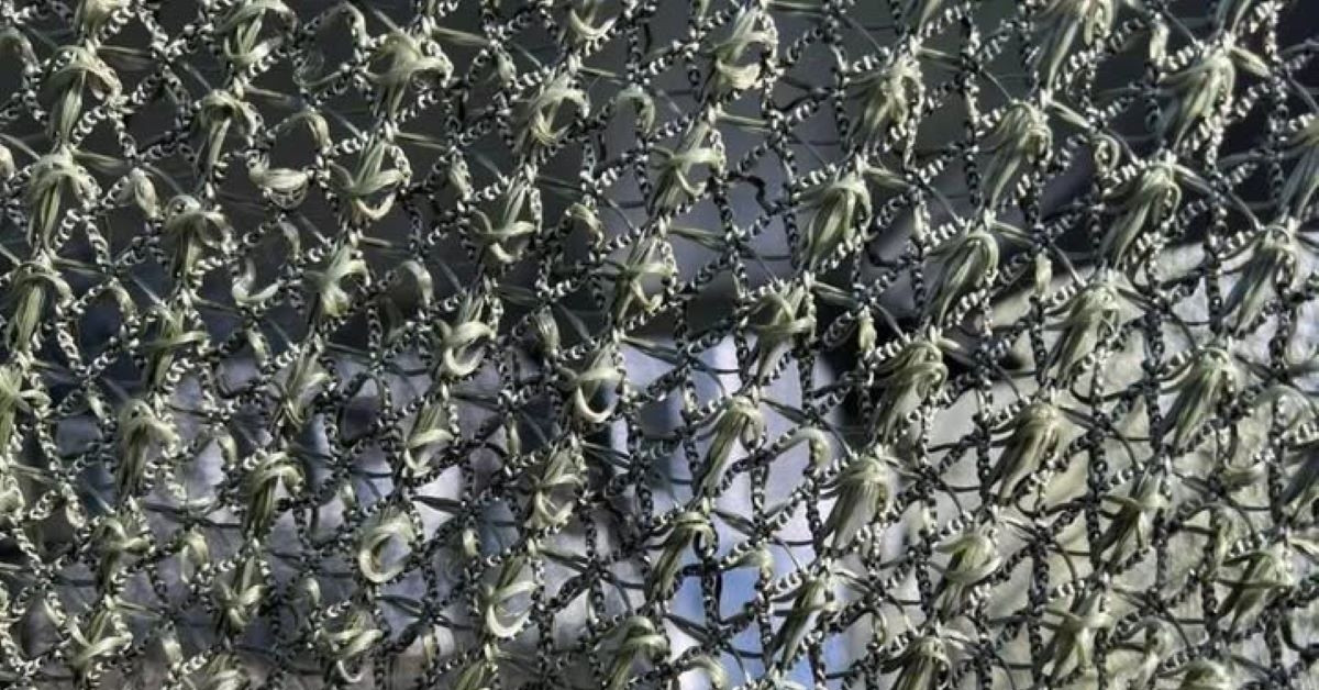 Lưới chống drone Darwin-Z Nga công nghệ ‘tự chữa lành’, thay đổi cuộc chơi phòng thủ