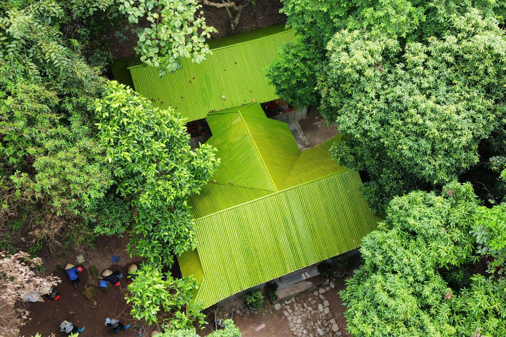 Ngôi chùa độc đáo làm bằng trúc, có cây hoa trứng gà ai cũng muốn ngắm