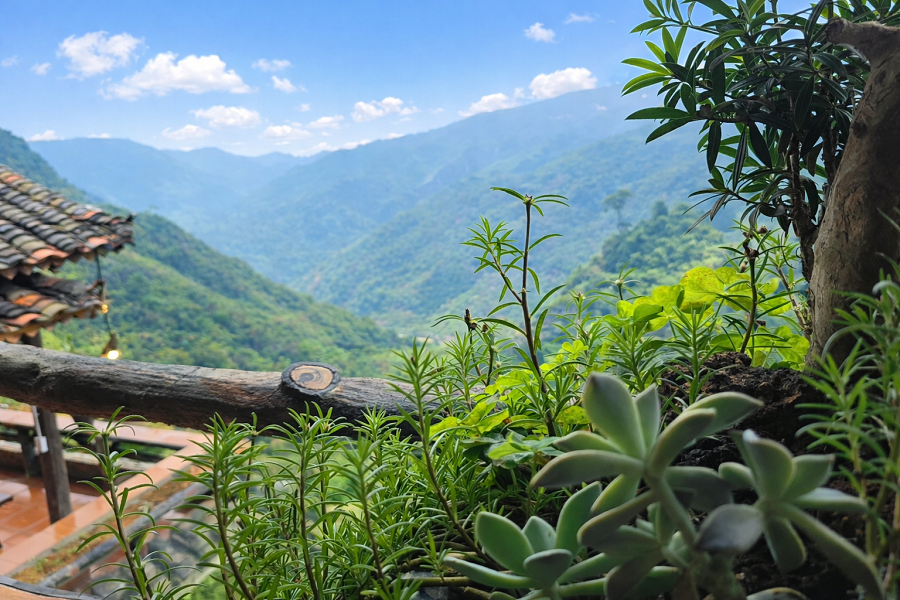 Phát huy tài nguyên bản địa thành giá trị kinh tế từ giảm nghèo thông tin