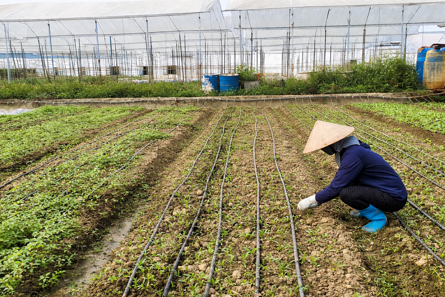 Tuyên Quang tích cực hỗ trợ lao động tiếp cận thông tin, giải quyết việc làm