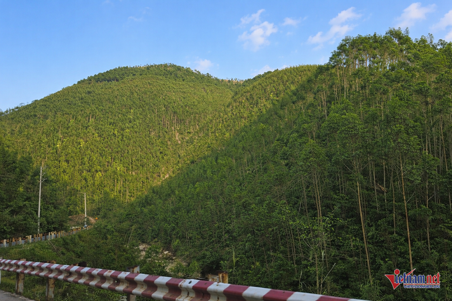 W-09ed0738 a5e7 46be a9fa d3a9a693131f.png