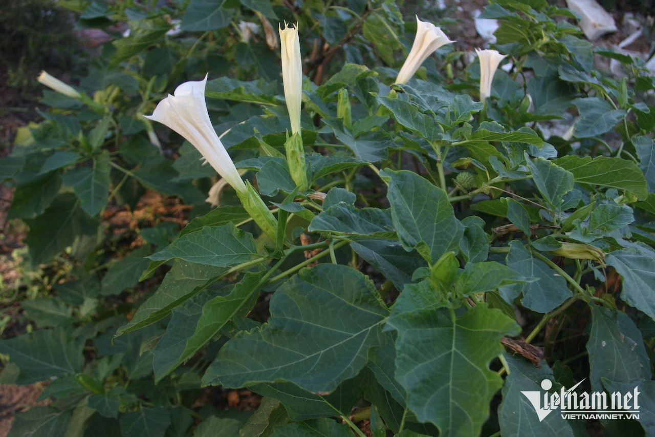 W-53e9a3ac 10bf 4f9e a9fc 1309acb95f6e.jpeg