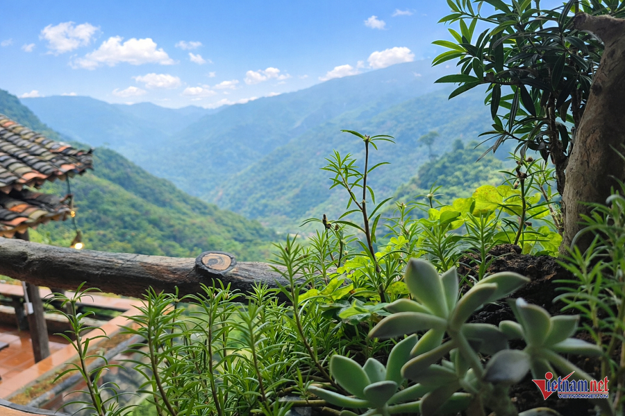 W-6d76e493 2eed 4ba2 ab19 2e16ceffef06.png