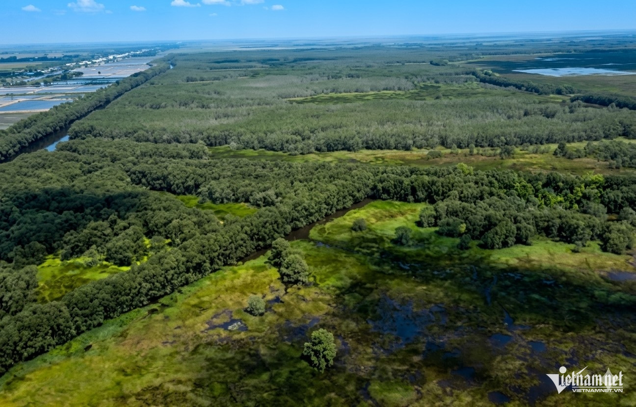 W-Anh bai Dong Thap ung pho BDKH.jpeg