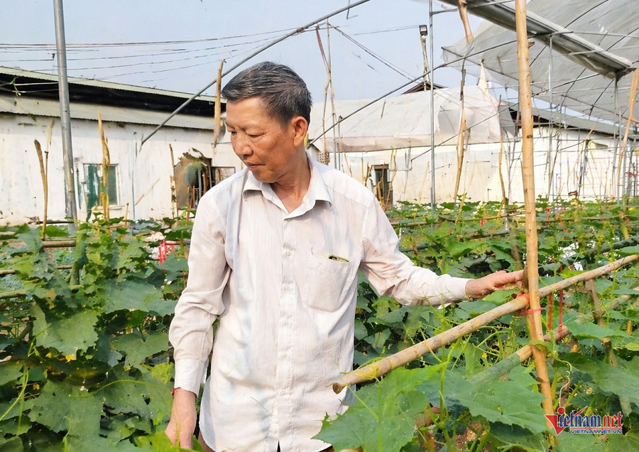 W-b40fa02f d806 4207 9a82 94463ec3e5b2.png